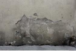 Photo Textures of Wall Plaster